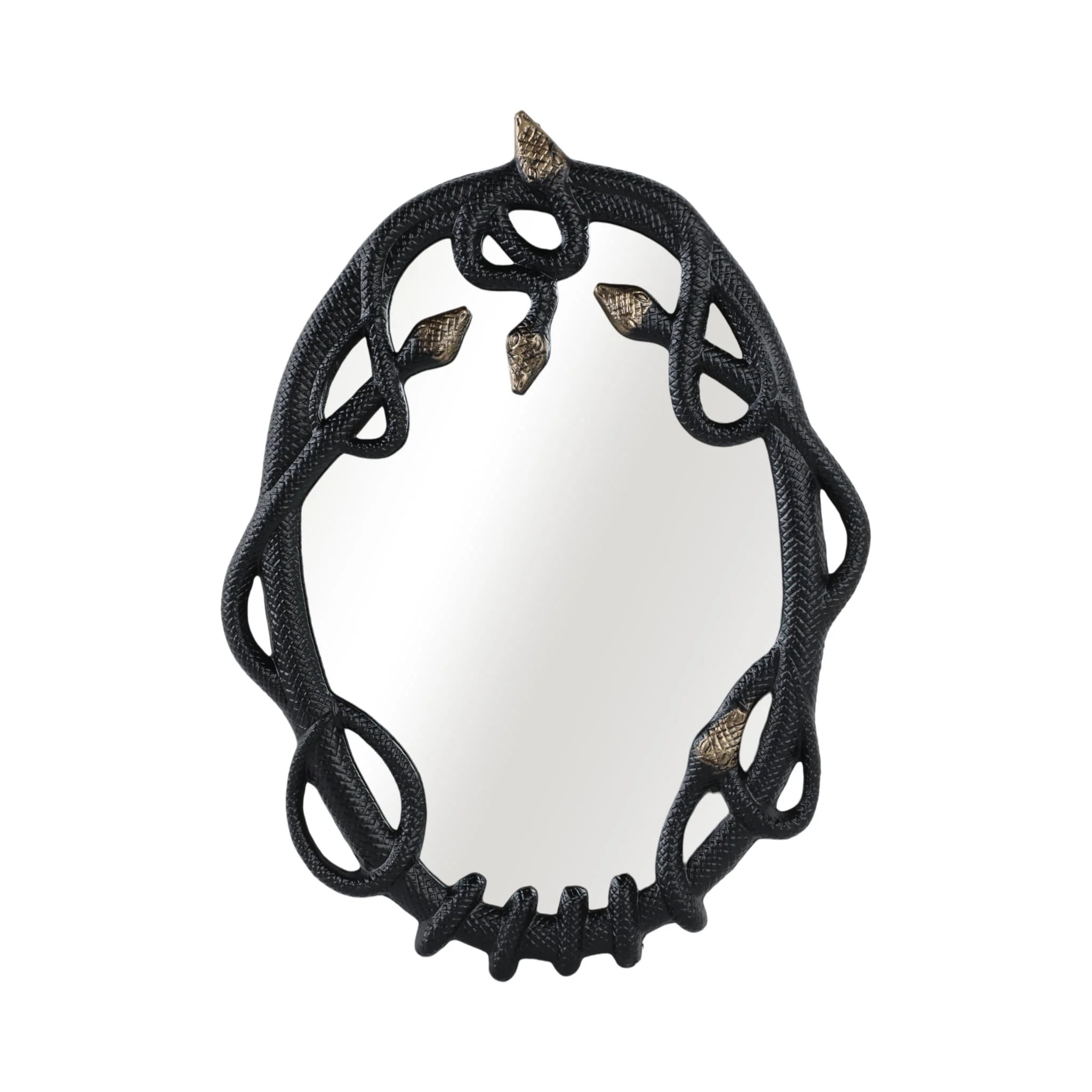 28x22" Snake Mirror, Blk/gld