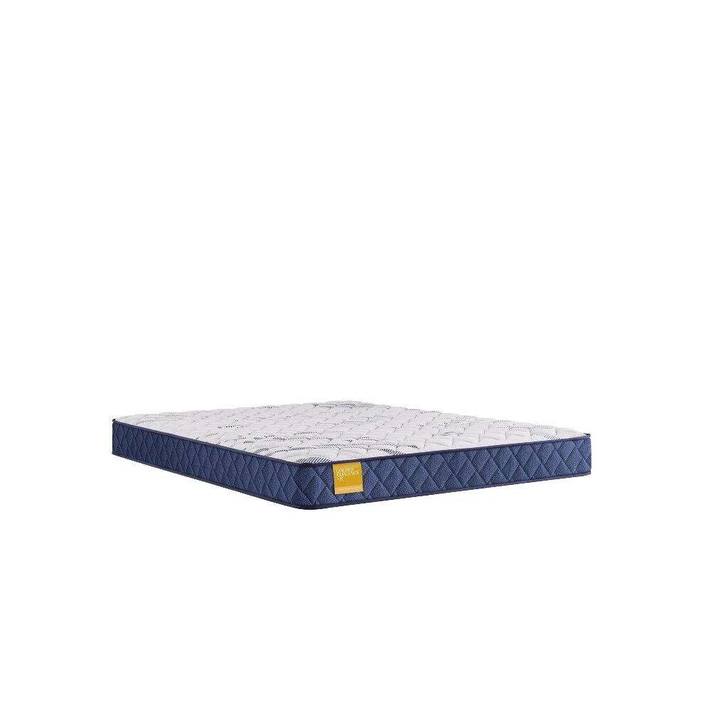 Sealy Erie Foam Mattress - Image 2