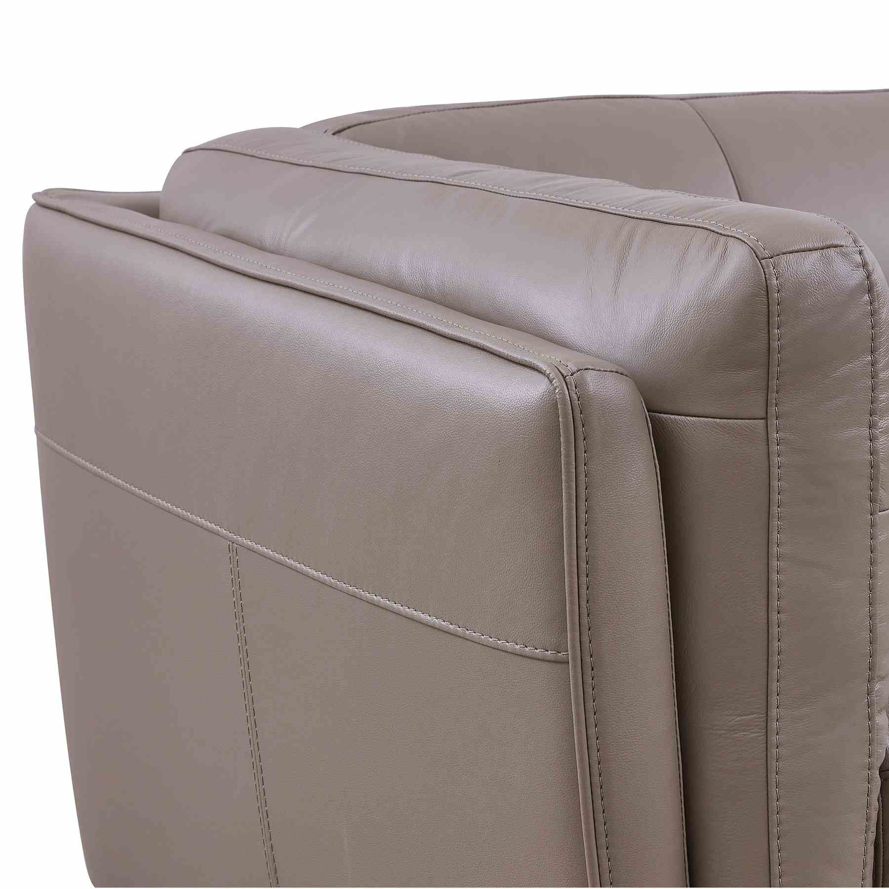 Primrose Contemporary Sofa in Dark Metal Finish and Greige Genuine Leather - Image 6